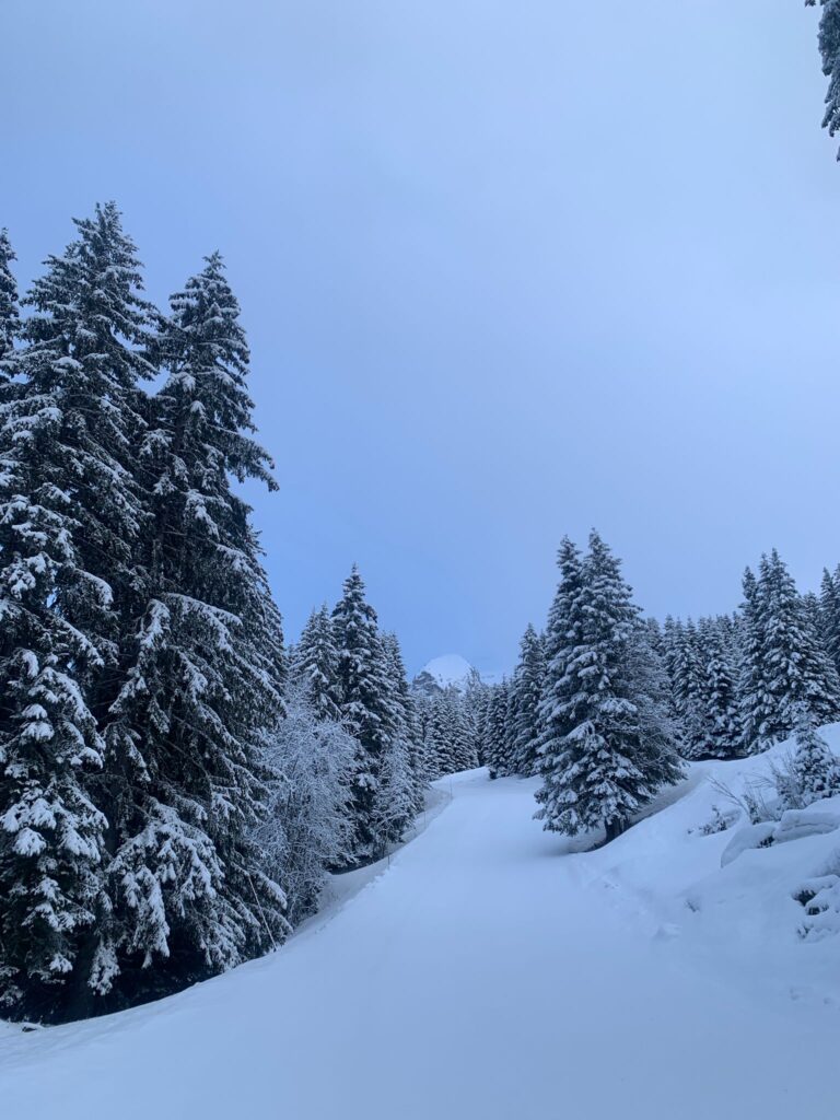 Morzine April Skiing