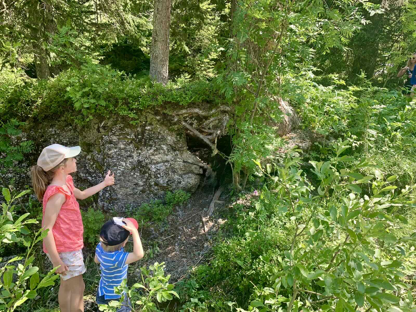 Morzine walking guide. Walk to Brochaux waterfalls