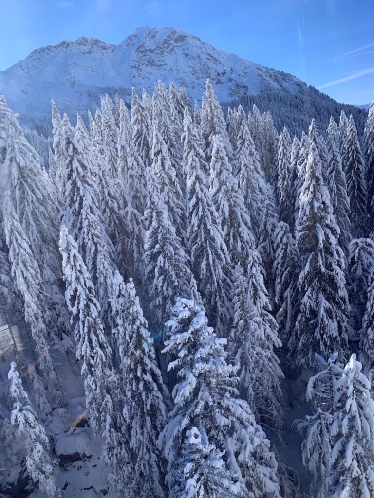 Morzine December skiing