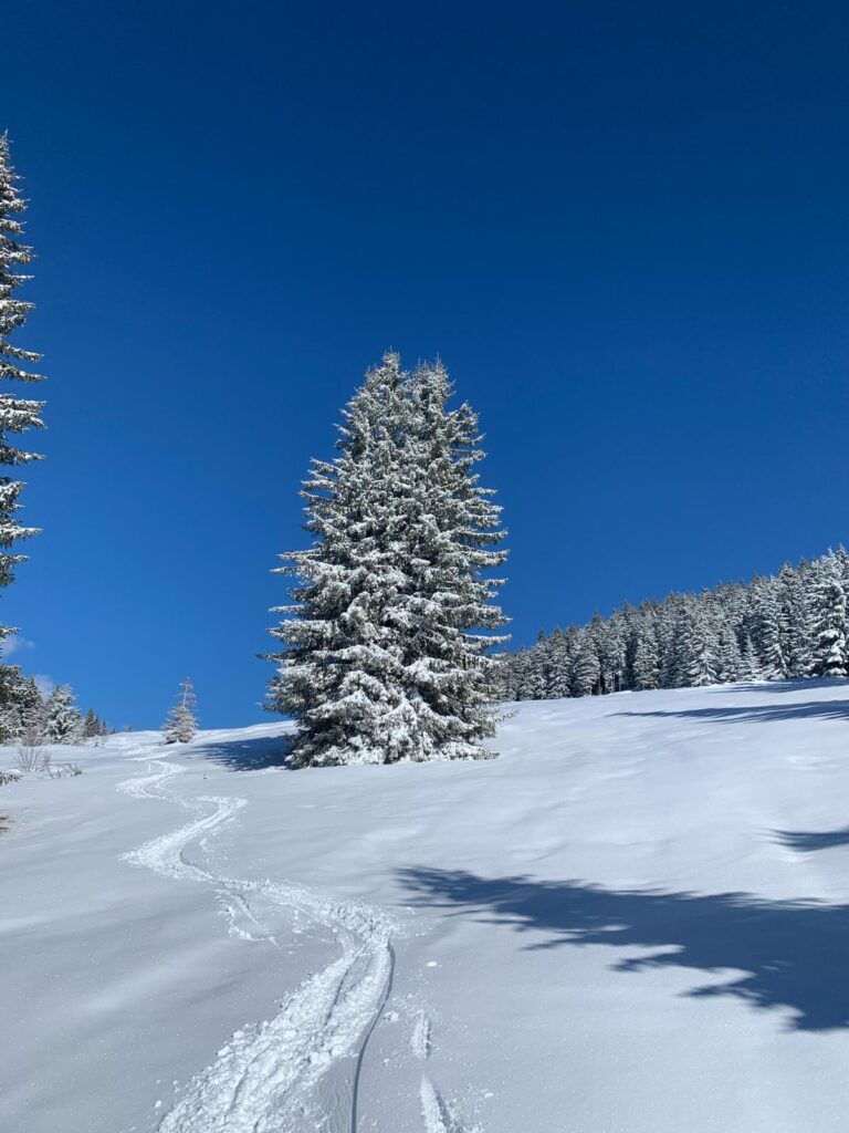 February skiing