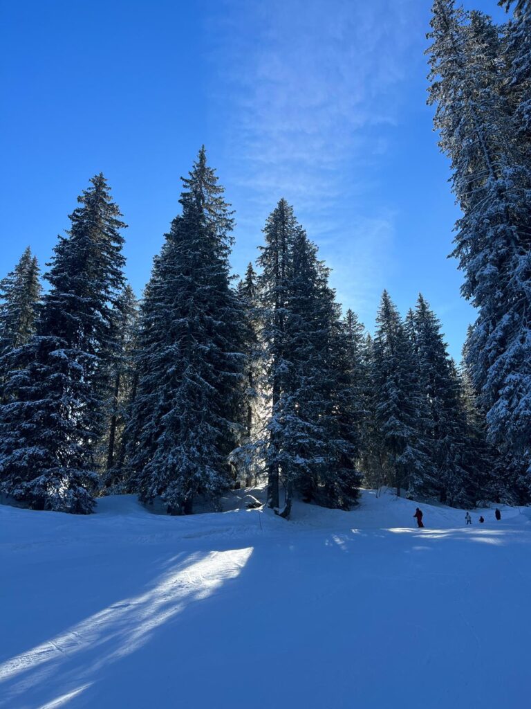 February skiing