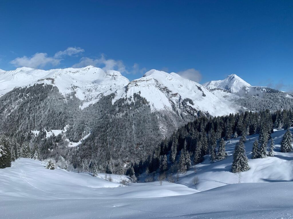 February skiing