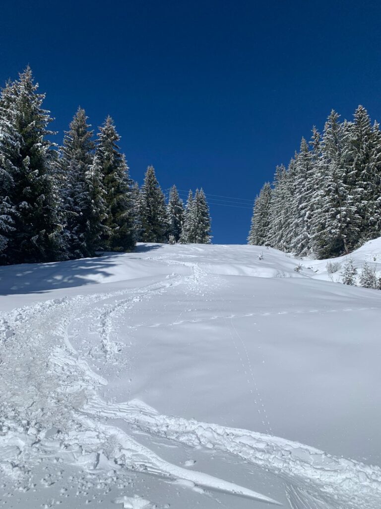 February skiing