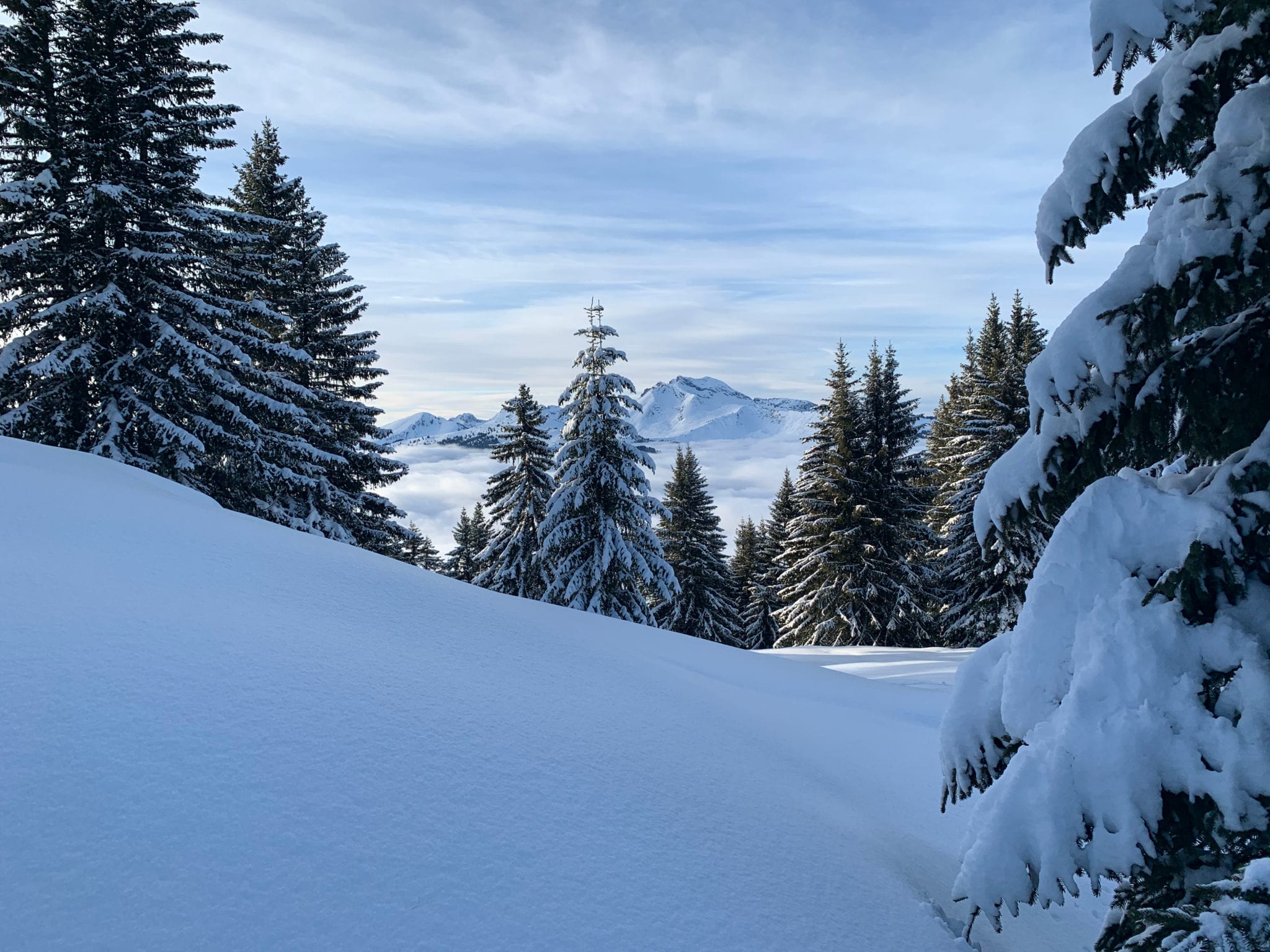 JANUARY SNOW: WHY WE LOVE IT !