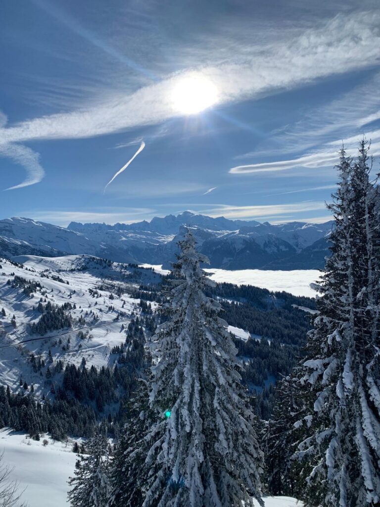 Morzine January Snow