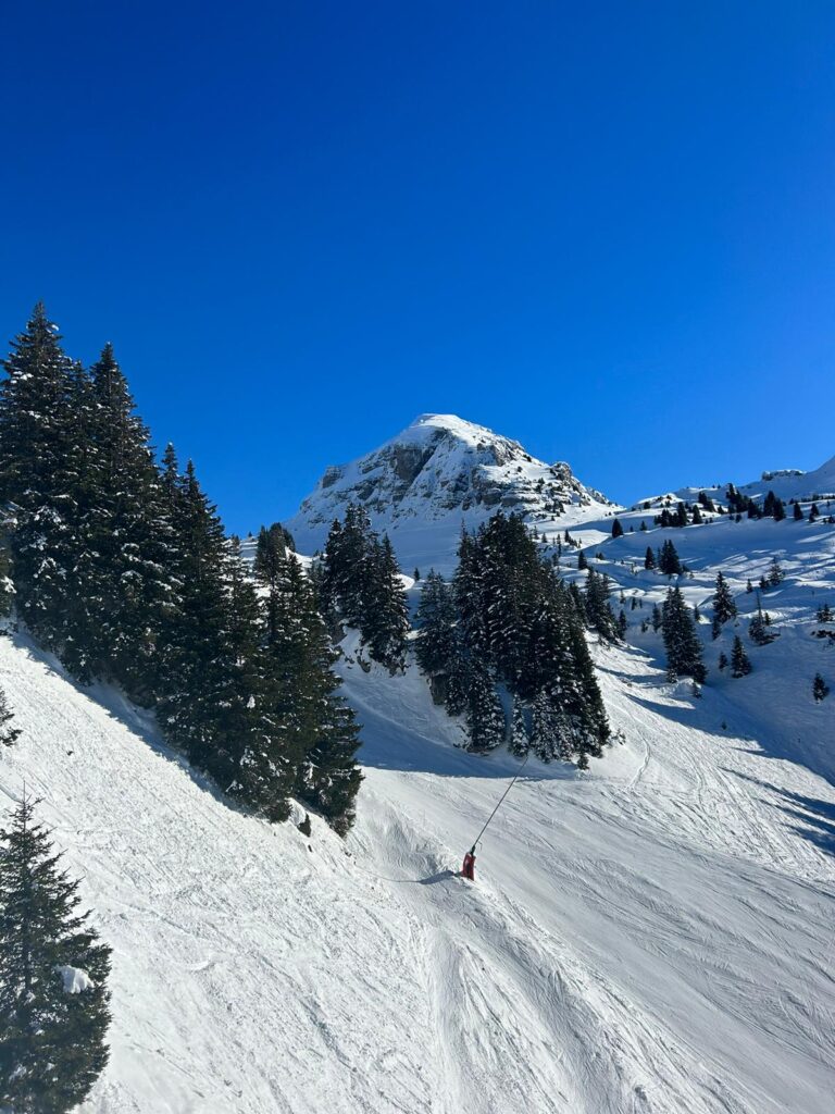 Morzine January Snow