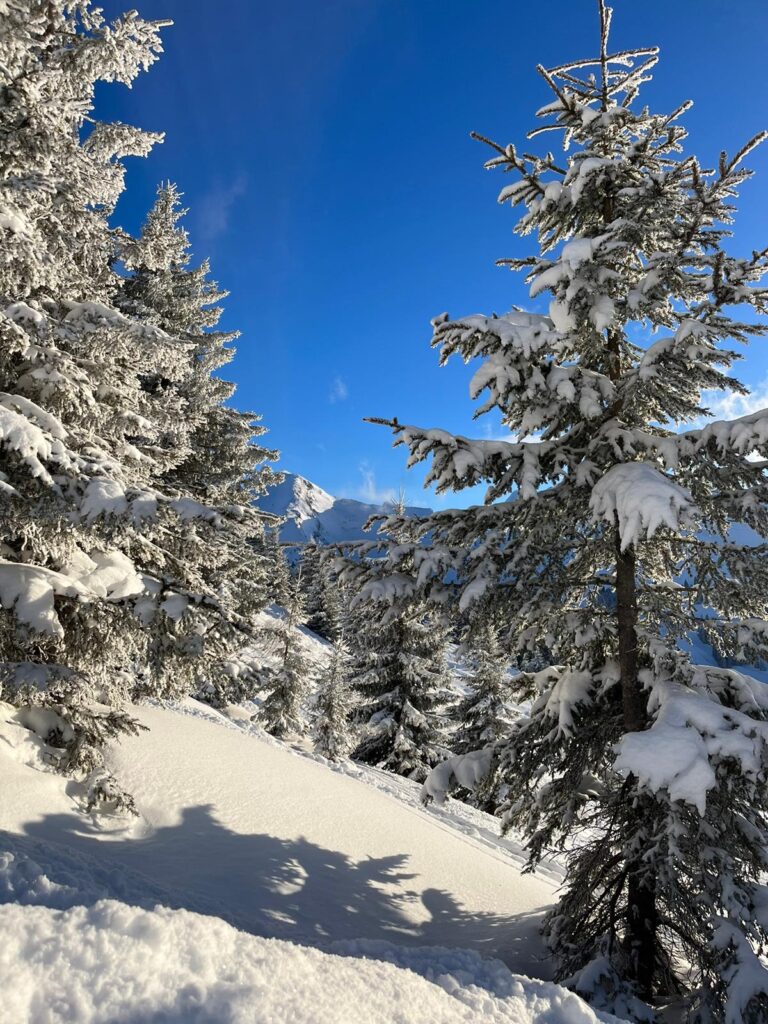 Morzine January Snow