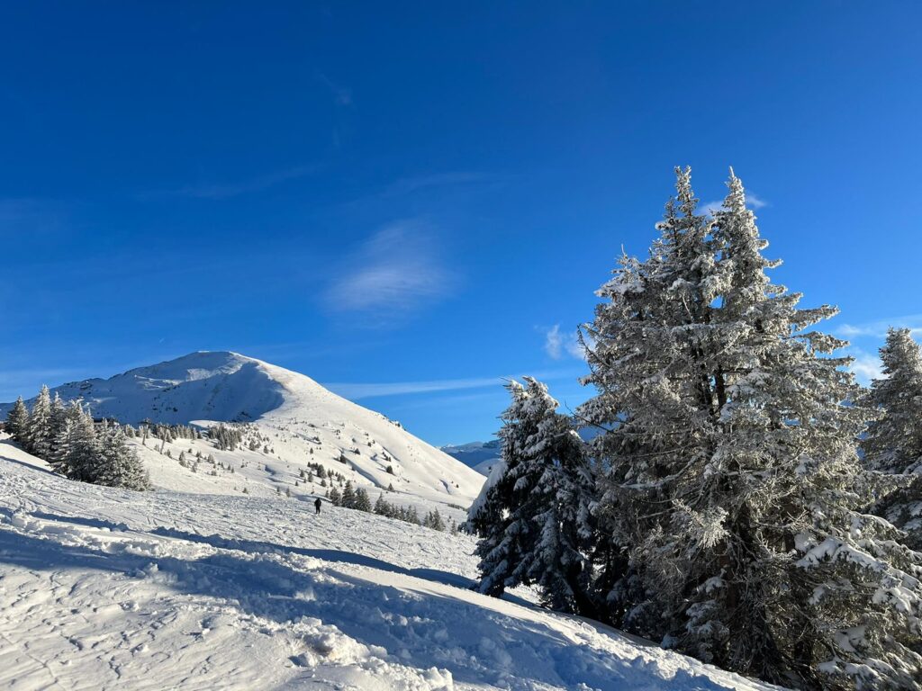 Morzine January Snow