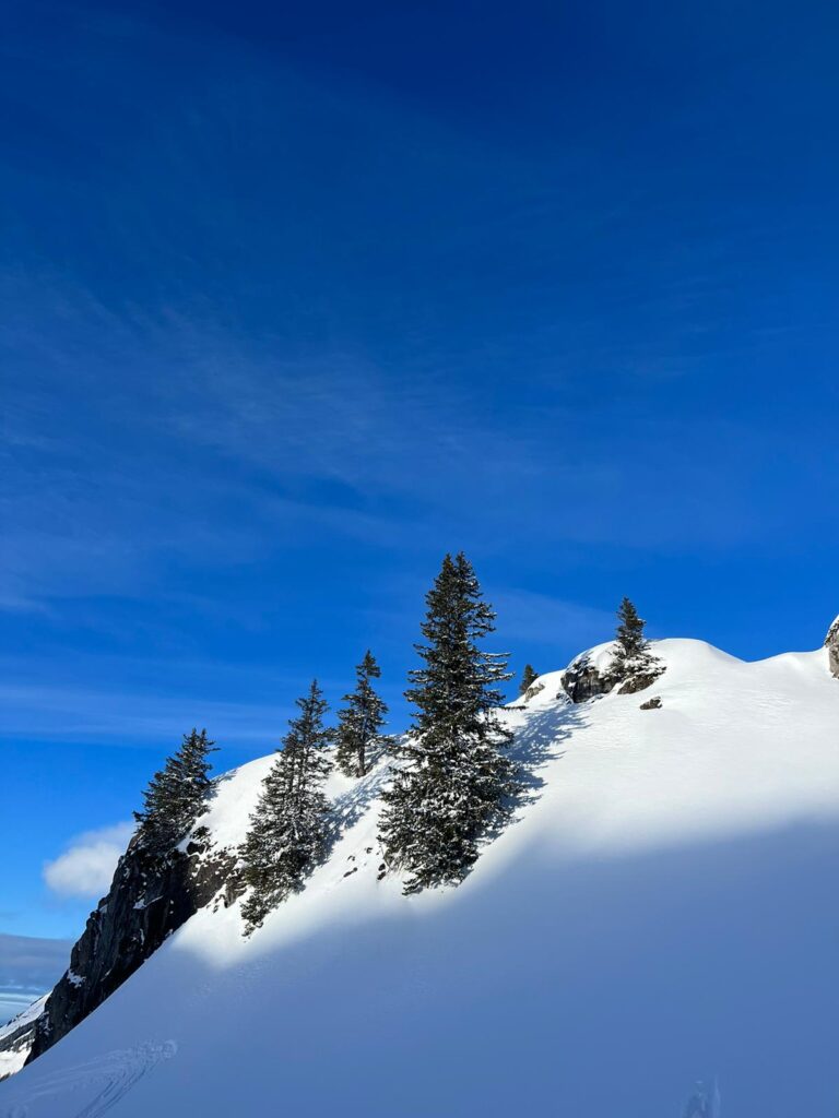 Morzine January Snow