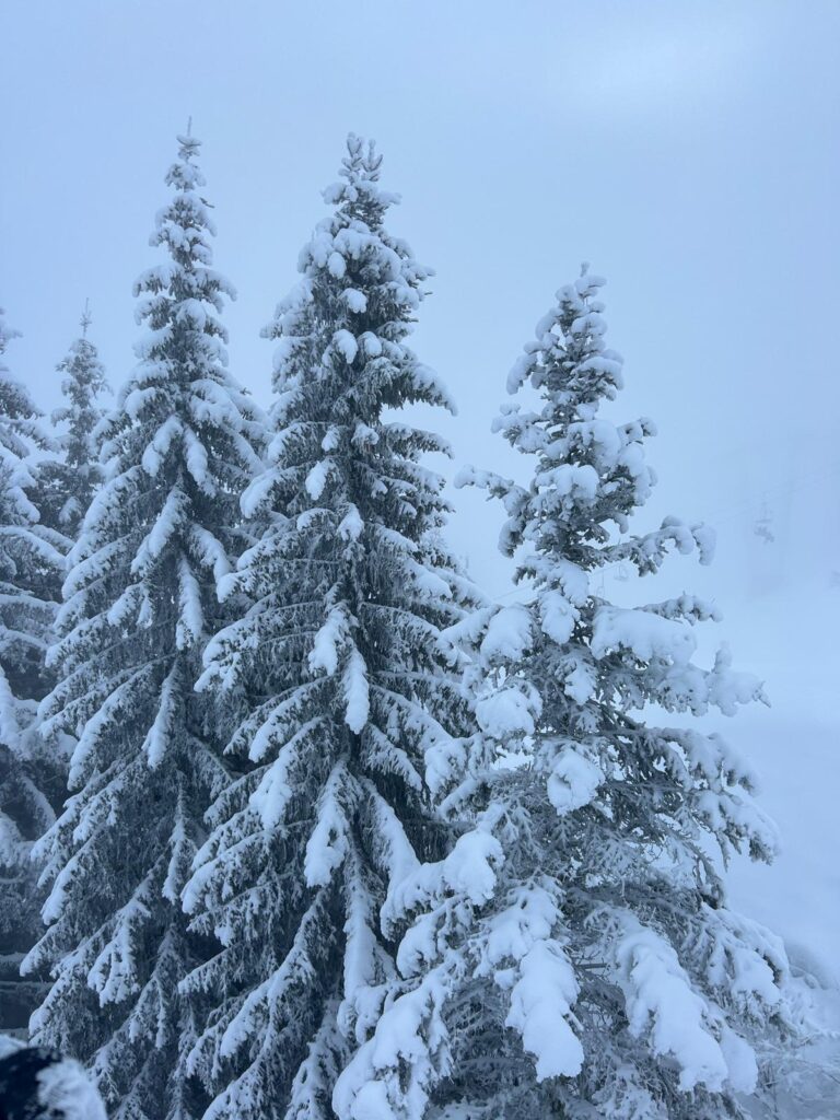 Morzine January Snow