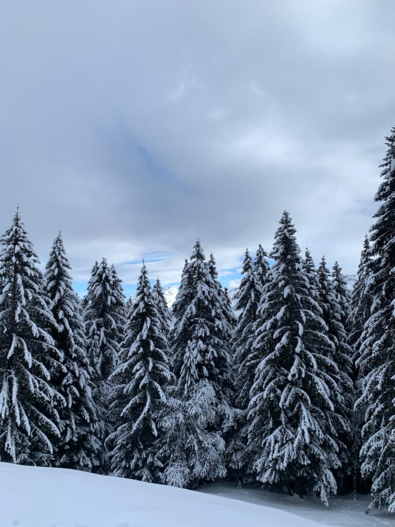 Morzine January Snow