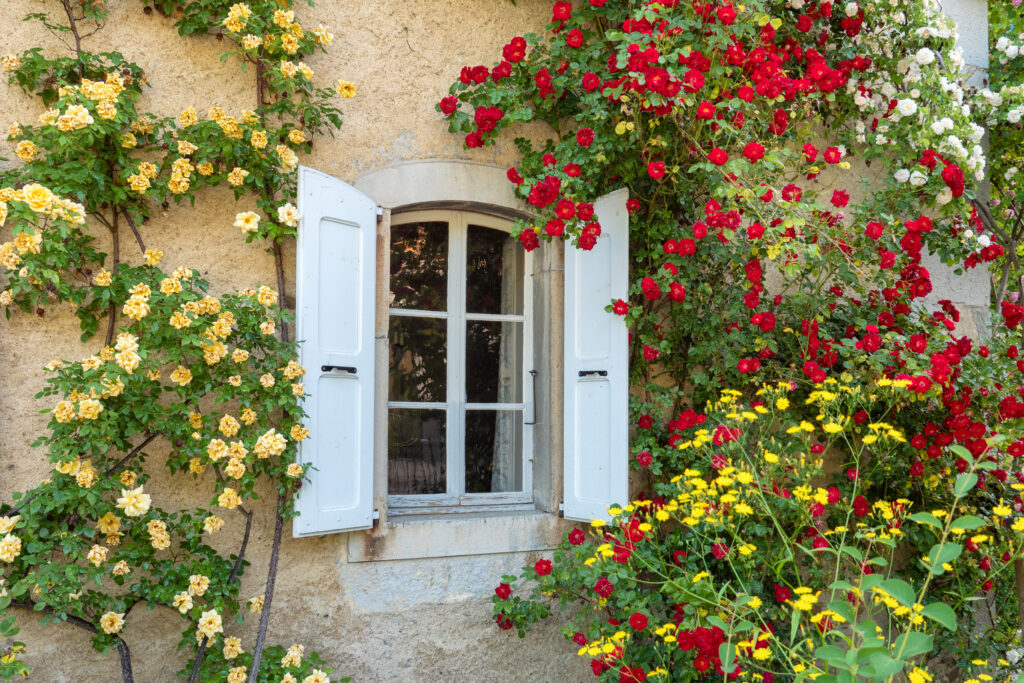 Le Manoir Rose garden window