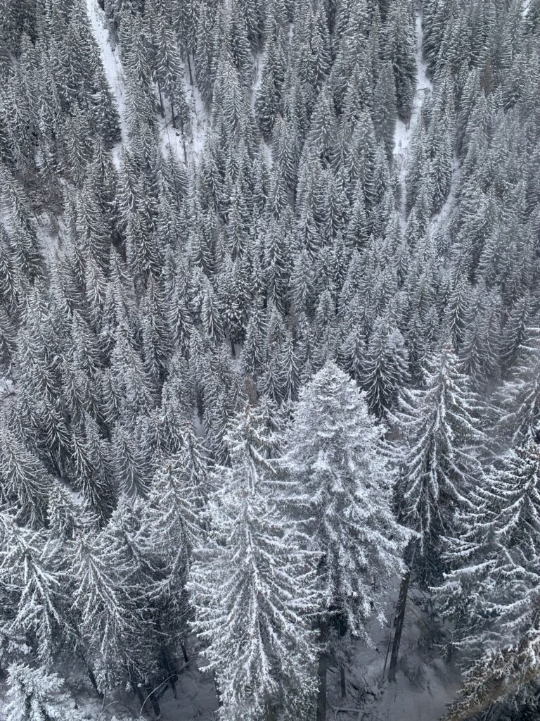 Morzine March Skiing