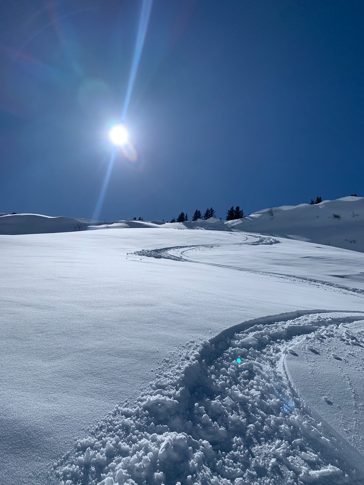 Morzine March Skiing – The best of both worlds
