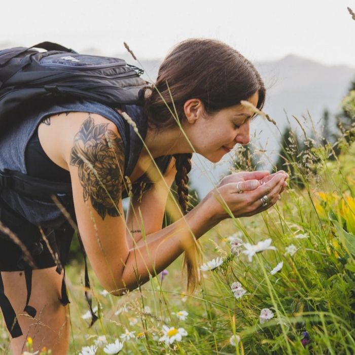 Image source: https://en.morzine-avoriaz.com/morzine-at-one-with-nature-2/