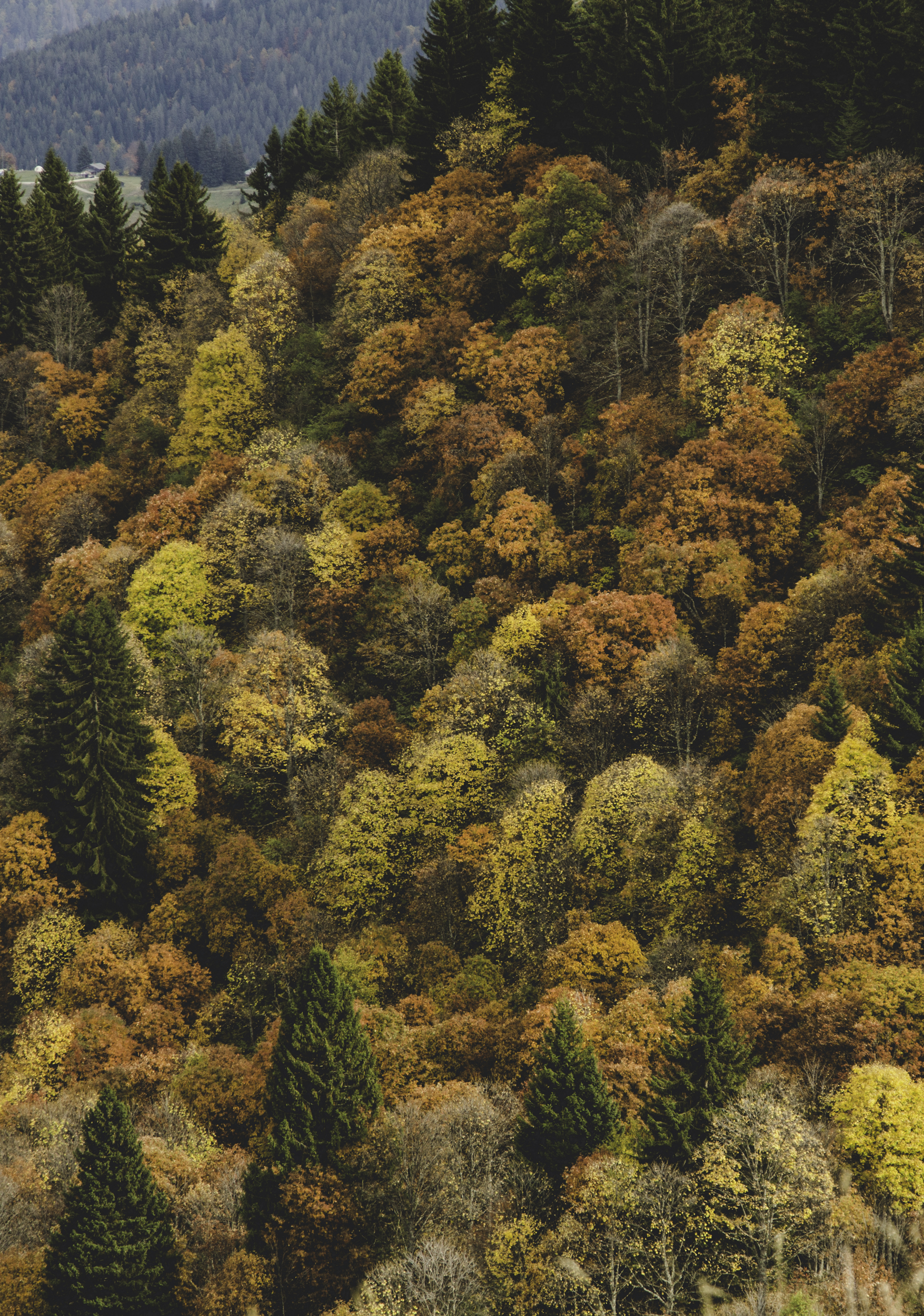 Natures Barometer in the Haute Savoie