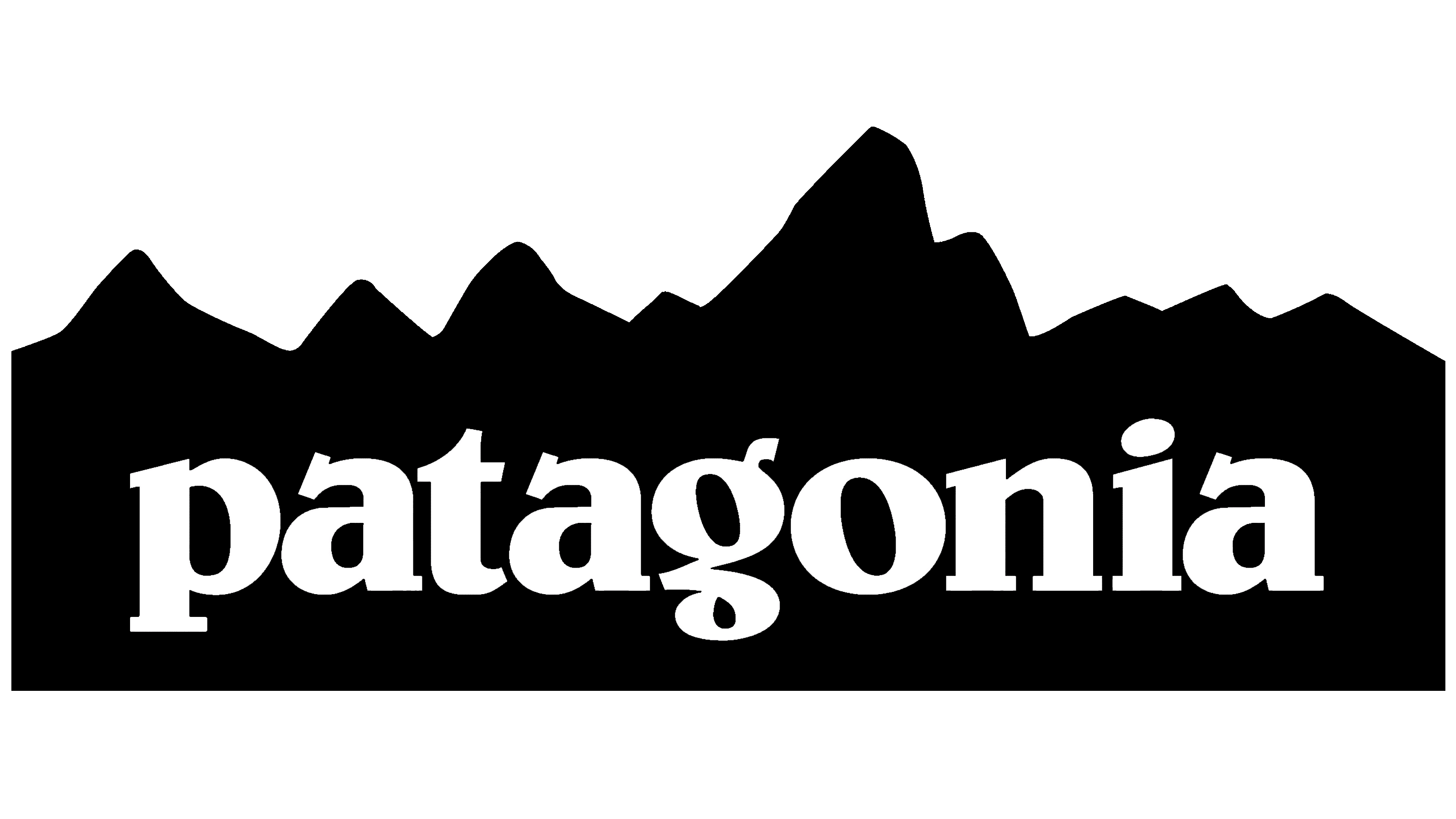 Skiology patagonia professional partner