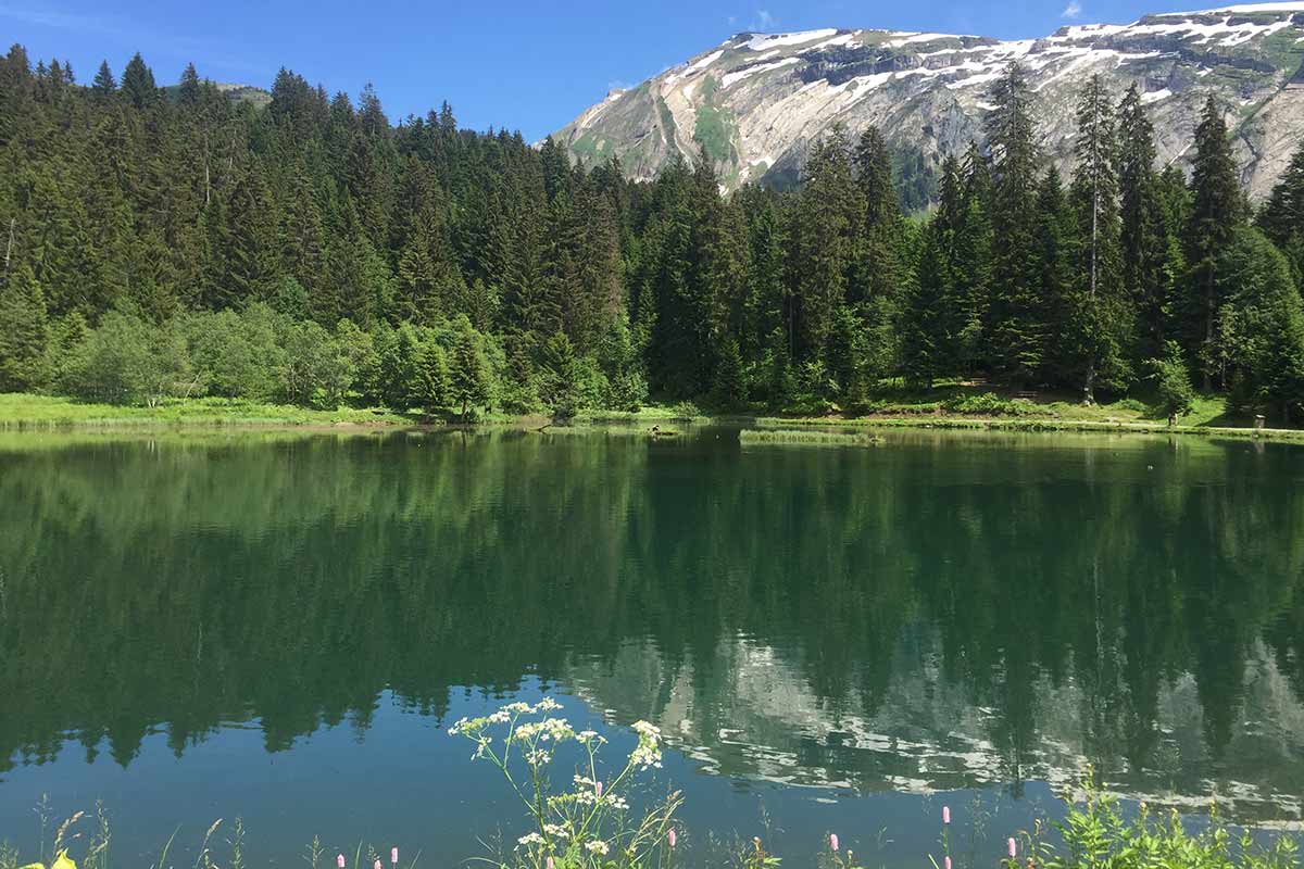 Summer chalets in the french alps - Morzine