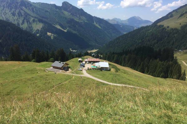 Summer chalets in the french alps - Morzine