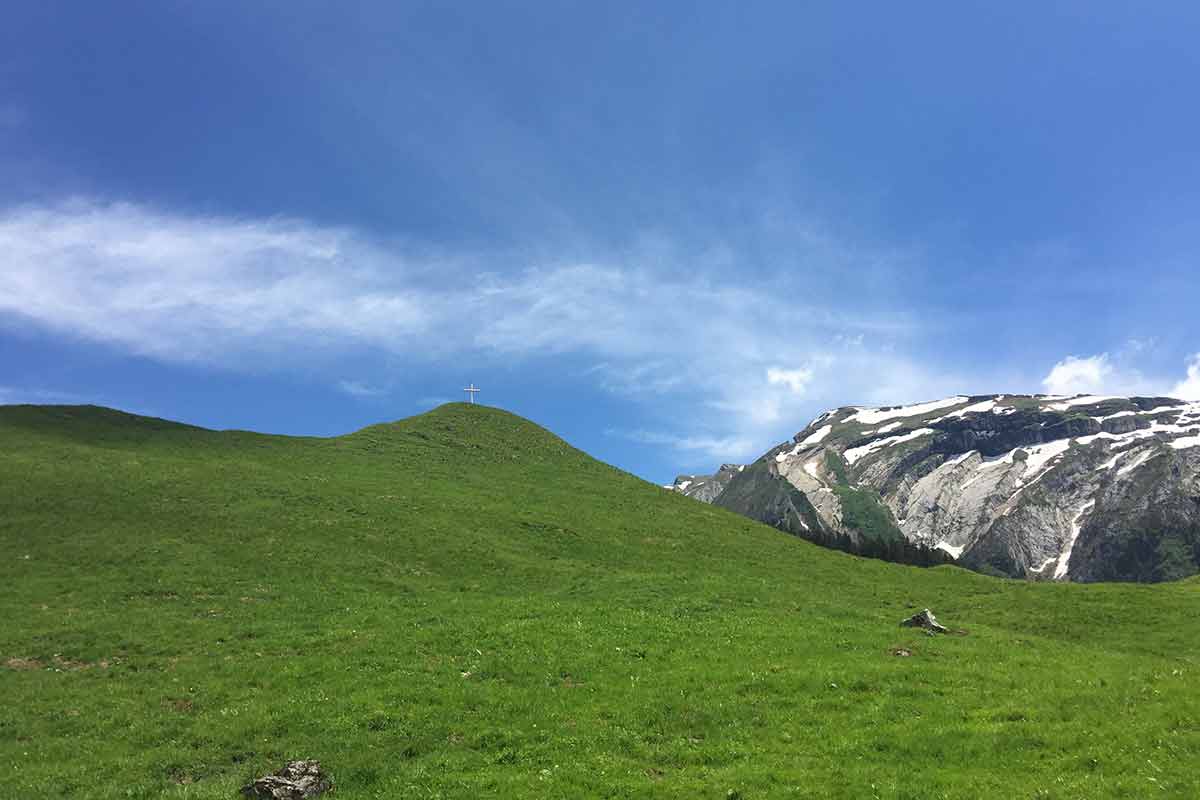 Summer chalets in the french alps - Morzine